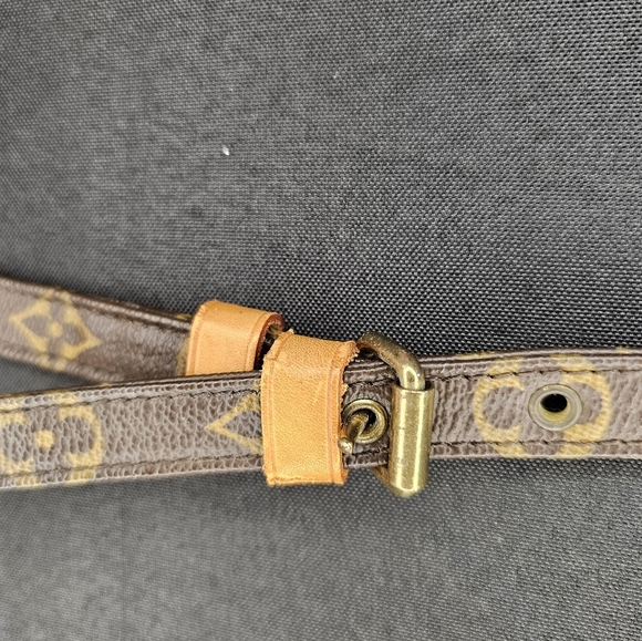 Louis Vuitton Amazone Crossbody Bag - Picture 8 of 14